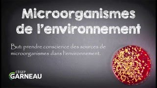 Microorganismes de lenvironnement [upl. by Usanis]