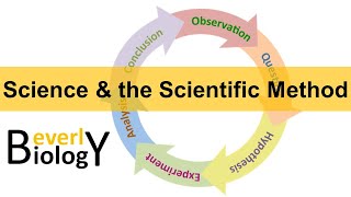 Scientific Method updated [upl. by Mosier]