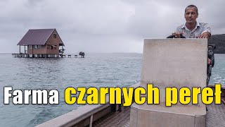 Ile KOSZTUJĄ PERŁY Jak powstają [upl. by Cori]