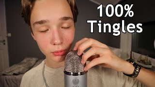 Professional ASMR Mouth Sounds  Sleep amp Tingles Inducing [upl. by Nerag362]