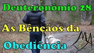 Deuteronômio 28  As Bênçãos da Obediência [upl. by Oirretno]