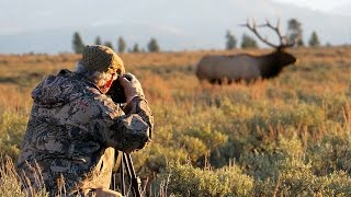 Tom Mangelsen photographing in Grand Teton National Park [upl. by Candace]