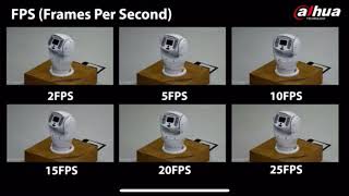 Frames Per Second Comparison [upl. by Iow]