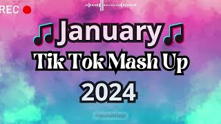 TikTok Mashup 2024 🎵 [upl. by Michaelina829]