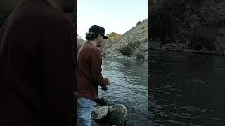 Fly Fishing with Spinning Rod to catch Rainbow Trout outdoors animals [upl. by Eleirbag]