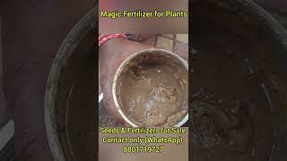 Magic Fertilizer for Plants Seeds and Fertilizers for Sale contact only WhatsApp 8801719727 [upl. by Damara485]