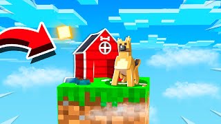 MAKING A DOG HOUSE ON ONE BLOCK EP 4 [upl. by Esiuolyram]