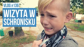 Wizyta w schronisku  VLOG 136 [upl. by Darra]