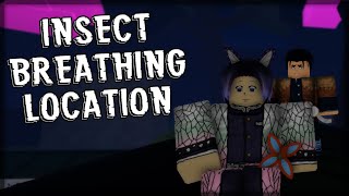 Insect Breathing Trainer Location  Demonfall Roblox How To Get Insect Breathing Demon Fall Shinobu [upl. by Lokim484]