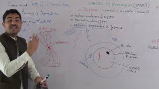 Mitosis complete detail in Urdu by dr Hadi [upl. by Boggers]