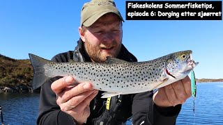 Fiskeskolens Sommerfisketips episode 6 Dorging etter sjøørret [upl. by Anned617]