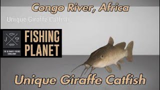 Fishing Planet Unique Giraffe Catfish Congo River Africa [upl. by Ahsenod90]