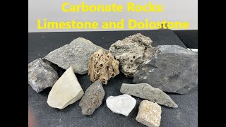 Rock Identification with Willsey Carbonate Sedimentary Rocks Limestone and Dolostone [upl. by Sybila]