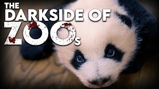 Zoos The Dark Side of Animal Captivity [upl. by Artiek]