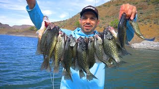 OWYHEE Reservoir Crappie Fishing SIGHT FISHING Catch N Cook [upl. by Riem]