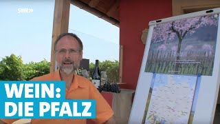 Werner erklärt Wein Die Pfalz [upl. by Landri]