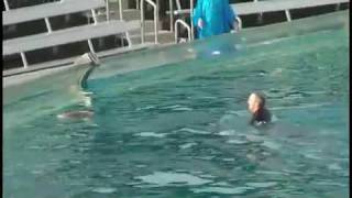 Sea World Shamu kills trainer VIDEO [upl. by Etak]