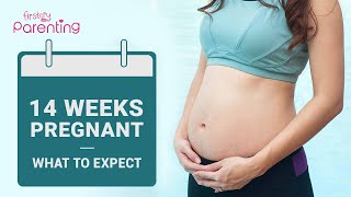 14 Weeks Pregnant What to Expect [upl. by Gautier]