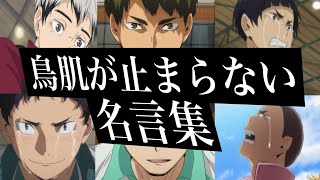 【名場面・名言集】感動・勇気・心に刺さるアニメハイキュー名言集 （挑戦しようか迷っているあなたへ） [upl. by Ennagrom]