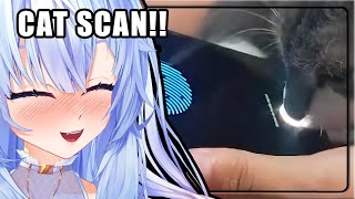 NEW SECURITY METHOD JUST DROPPED  Mifuyu Reacts to UNUSUAL MEMES COMPILATION V287 [upl. by Alston11]