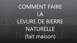 TUTTO  COMMENT FAIRE UNE LEVURE DE BIERRE NATURELLE fait maison [upl. by Hafeetal]