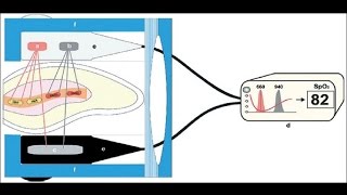 How does pulse oximeter works [upl. by Jermyn]