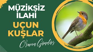 Uçun Kuşlar  Osman Gündüz  Müziksiz İlahi müziksizilahiler engüzelilahiler [upl. by Warrick]