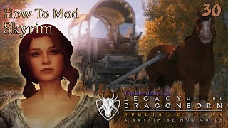 30 How to Mod Skyrim  Featuring Lexys LoTD  Mod Installation P4 3 of 4 [upl. by Dobbins]