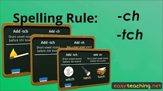 Words Ending ch and tch  Spelling Rule  EasyTeaching [upl. by Chrisy]