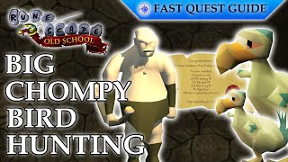 Big Chompy Bird Hunting Quest  OSRS Quality Quick Guide 2024 [upl. by Torr149]