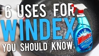 6 Uses for Windex You Should Know [upl. by Nileuqcaj425]