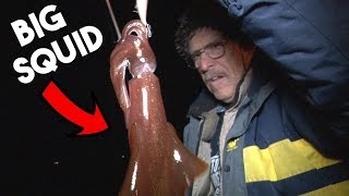 Catching BIG SQUID at NIGHT on Jigs PIER FISHING [upl. by Hauck922]