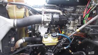 coolant hose breakdown Freightliner Cascadia [upl. by Akyssej]