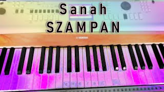 JAK ZAGRAĆ Szampan  Sanah  akordy COVER tutorial [upl. by Tubb]