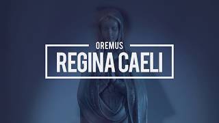 Pray  The Regina Caeli in Latin with Bishop Robert Reed [upl. by Aicital]