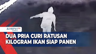 Dua Pria Terekam CCTV Mencuri Ikan Milik Warga di Kerinci [upl. by Coco]