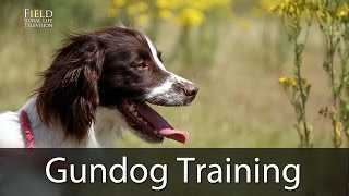 Gundog Training With Andy Cullen [upl. by Gish]