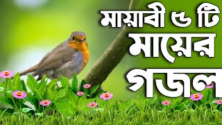 মায়াবী ৫টি মায়ের গজল  Mayer Gojol  gojol Ghazal Bangla notun Mayer Gojol maa song [upl. by Bendick]