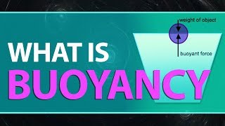 What is Buoyancy  Buoyant Force Definition  Examples  Explanation  Physics Concepts amp Terms [upl. by Tellford88]