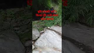 मनासलु हिमाल र लार्के पीक पास गर्दा बुढी गण्डकी नदीको किनारको दृष्य trending funny gorkha himal [upl. by Vorfeld447]