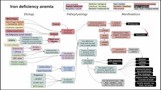 Iron deficiency anemia mechanism of disease [upl. by Jt733]