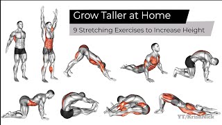 Grow Taller at Home  9 Stretching Exercises to Increase Height [upl. by Keli]