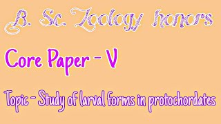 Larval forms in Protochordates [upl. by Luahs]