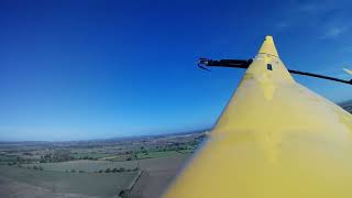 TMAC Big Yellow 35m RC Glider flying on a nice day [upl. by Annua]