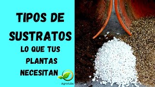 Sustratos Tipos de sustratos para plantas Tipos de Sustratos [upl. by Enaasiali]