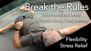 Break the Rules  Dynamic Whole Body Somatics Sequence for Flexibility and Stress Relief [upl. by Negah819]