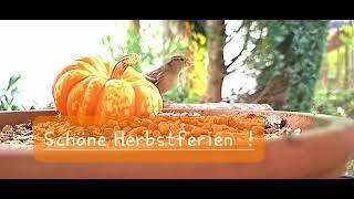 Schöne Herbstferien [upl. by Zildjian]