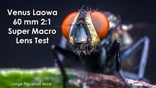 Laowa 60mm f28 2X UltraMacro Lens Test 2 [upl. by Noiram]