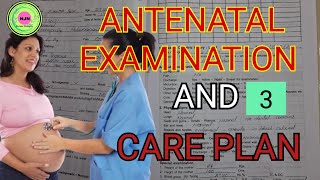 Antenatal Examination And Care Plan Maternity Health Nursing Midwifery Case Book 5 Care Plans [upl. by Mmada]