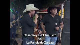 CONTRAPUNTEO DE DOS GALLOS FINOS Cesar Reyes El Tucusito vs La Panela de Zaraza [upl. by Dorcea]